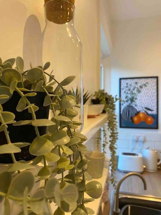 Garden Apartment, Central Harrogate With Parking Exteriör bild